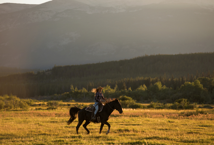 Galloping near Clearwater Lake, BC. Photo courtesy Destination BC.