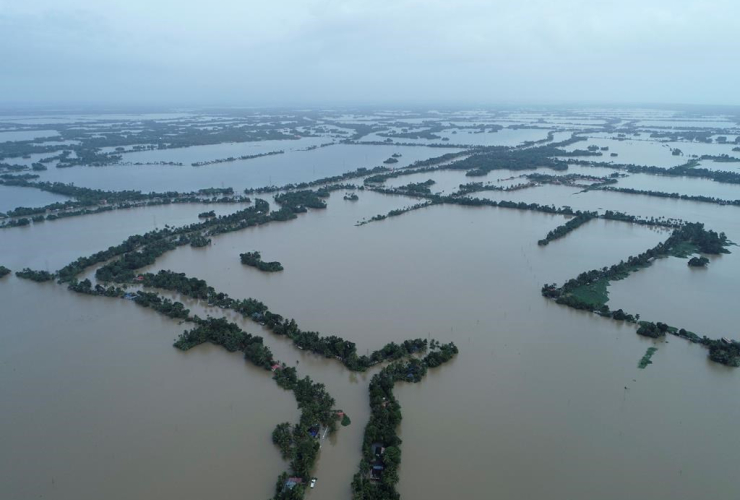 flood, Kuttanad, Alappuzha district, Kerala, India, 