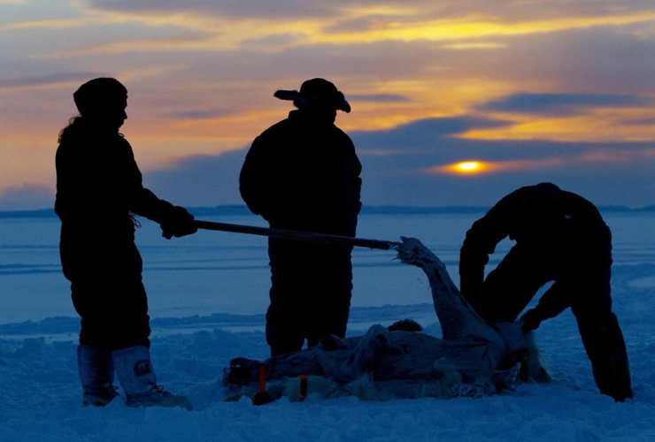 Inuit hunters, Meeka Mike, Lew Philip, Joshua Kango, skin, polar bear, traditional hunt, Frobisher Bay, Tonglait, Nunavut, 
