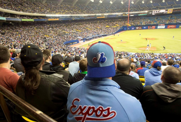 Fans, Montreal Expos, Toronto Blue Jays, baseball game, New York Mets,