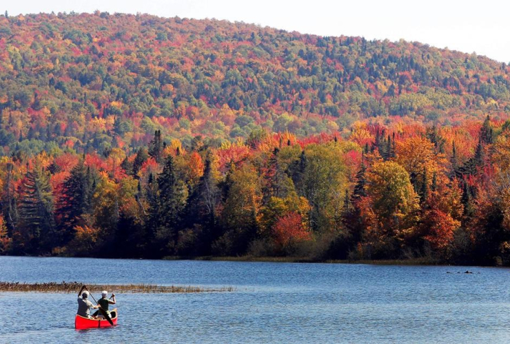 In this Sept. 27, 2014 file photo, Brad and Sue Wyman paddle their 1930's Old Town Guide canoe along the Androscoggin River as leaves display their fall colors north of the White Mountains in Dummer, N.H. File photo by The Associated Press/Jim Cole