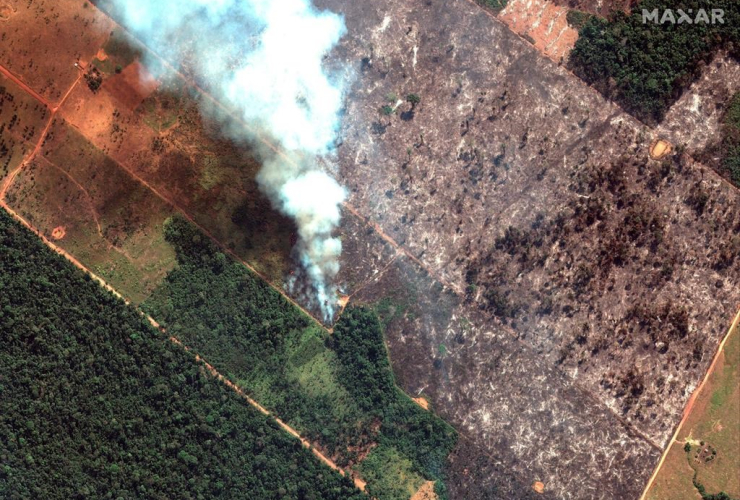 satellite image, Maxar Technologies, State of Rondonia, Brazil, Amazon River basin. 
