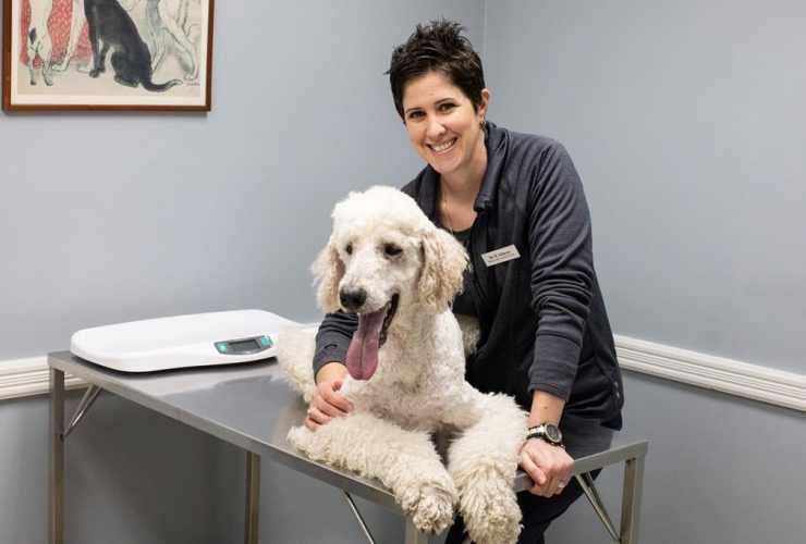 Dr. Hana Schwarz, Toronto, Roncesvalles Animal Hospital, 