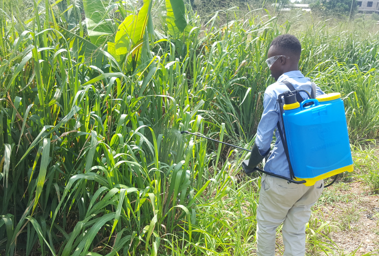 Man carrying a container on his back spraying pesticide in a field 