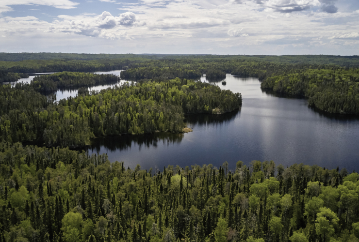 aerial view of a forest and lakes