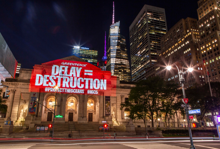 Greenpeace USA activists project messages calling for ocean protection onto the New York public library. Text reads: 'Delay = Destruction'
