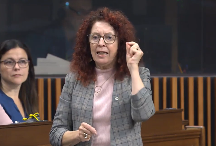 A woman with long, curly red hair and glasses, wearing a light-grey checkered blazer and light pink shirt stands to ask a question in the House of Commons