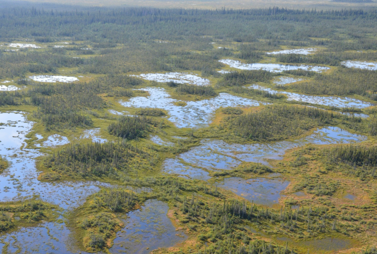 aerial view of Canada's peatlands
