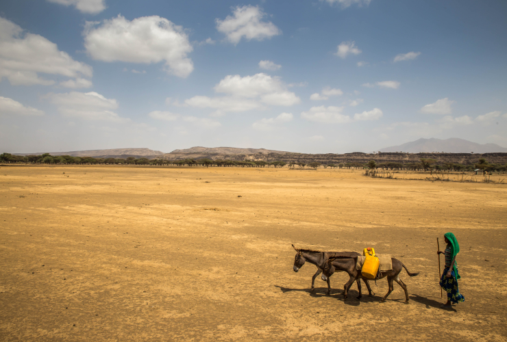 Two children walk across the desert in Ethiopia