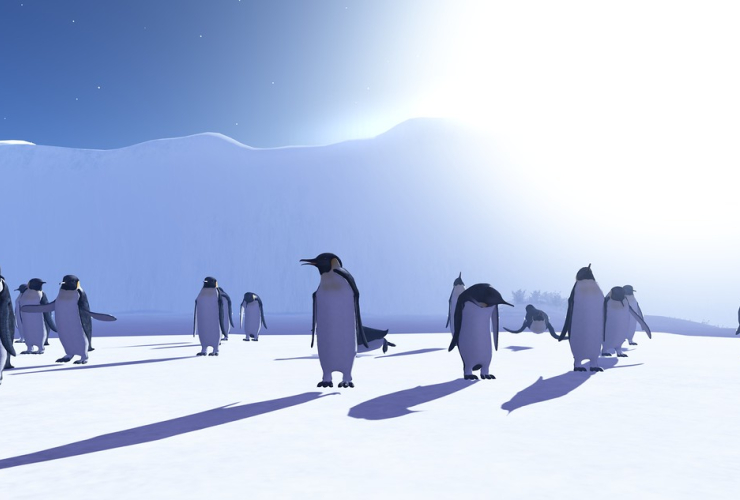 Emperor Penguins,