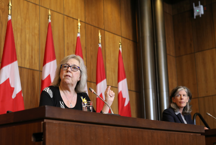Elizabeth May speaks at a press conference