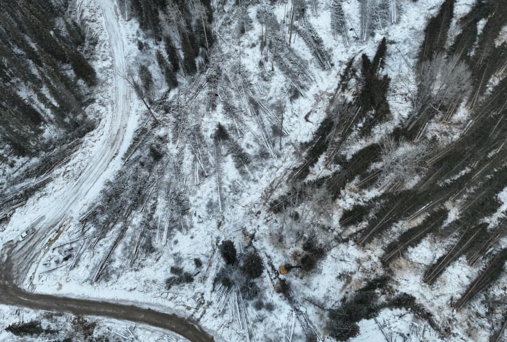 aerial view of a logging area in the winter