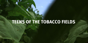 Teens of the Tobacco Fields