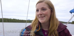 Canada's National Observer gives a voice to the natural world