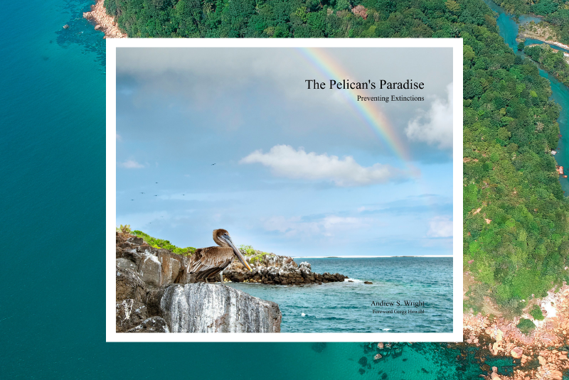 The Pelican's Paradise